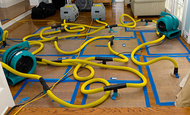 Professional Water Extraction technician working in Mount Vernon, IN